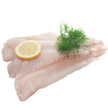 White Fish medium picture